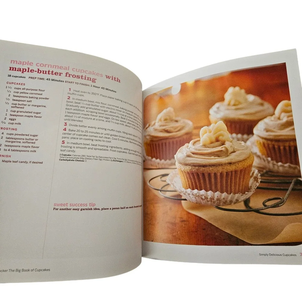 Betty Crocker The Big Book of Cupcakes 175+‎ Recipes 2011 Paperback Cookbook